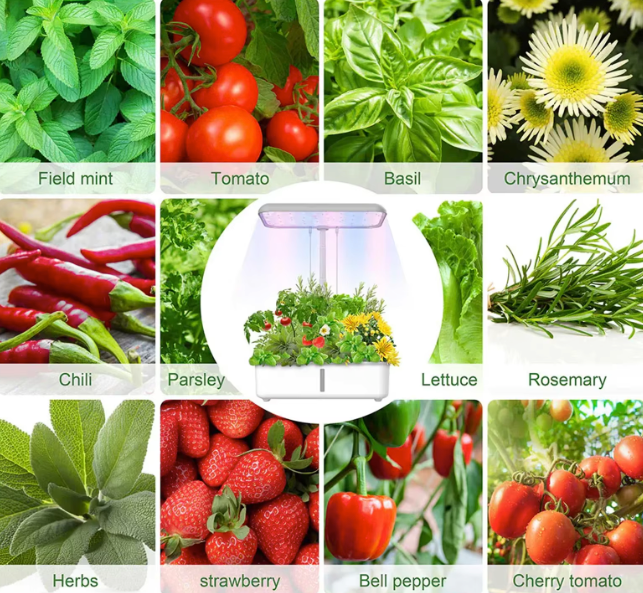 Slim Hydrocultuur Kweeksysteem met LED Groeilamp – WiFi Indoor Kruidentuin met Zelfbewatering