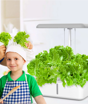 Slim Hydrocultuur Kweeksysteem met LED Groeilamp – WiFi Indoor Kruidentuin met Zelfbewatering