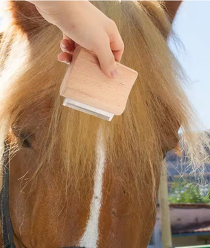 Paarden Ontharingsborstel – Houten Verzorgingsborstel met Metalen Kam voor Paarden en Vee