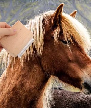 Paarden Ontharingsborstel – Houten Verzorgingsborstel met Metalen Kam voor Paarden en Vee