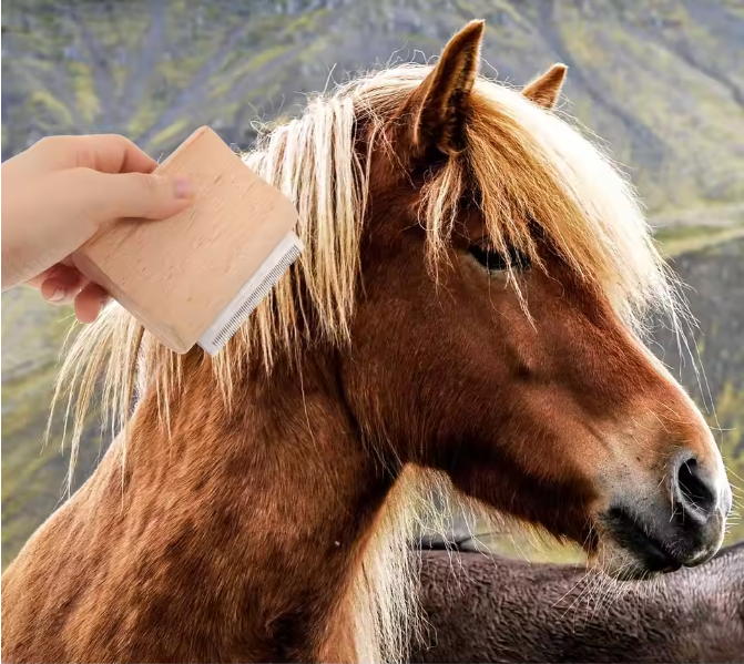 Paarden Ontharingsborstel – Houten Verzorgingsborstel met Metalen Kam voor Paarden en Vee