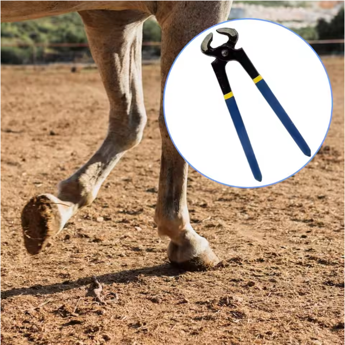 Professionele Hoefkniptang voor Paarden – Hoeftrimmer van Staal voor Hoefonderhoud