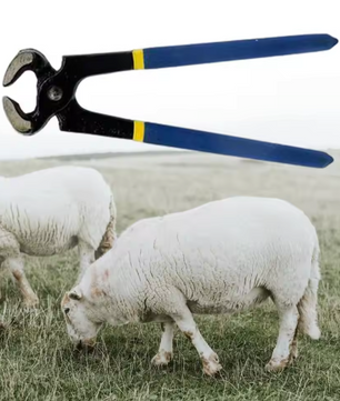 Professionele Hoefkniptang voor Paarden – Hoeftrimmer van Staal voor Hoefonderhoud