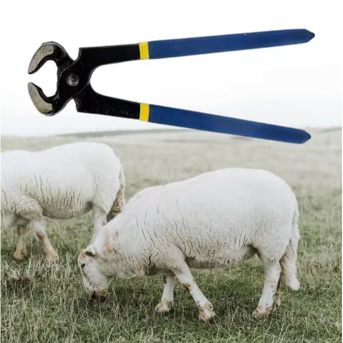 Professionele Hoefkniptang voor Paarden – Hoeftrimmer van Staal voor Hoefonderhoud