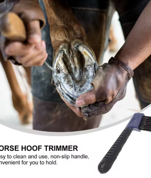 Paarden Hoefkrabber met Borstel – RVS Hoefreiniger met Comfort Handvat