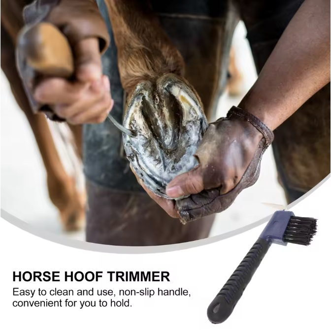 Paarden Hoefkrabber met Borstel – RVS Hoefreiniger met Comfort Handvat