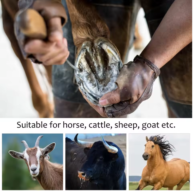 Paarden Hoefkrabber met Borstel – RVS Hoefreiniger met Comfort Handvat