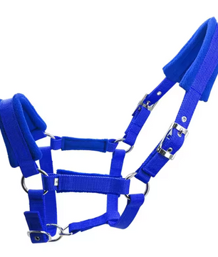 Verstelbaar Paardenhalster – Stevige Hoofdkraag voor Paarden