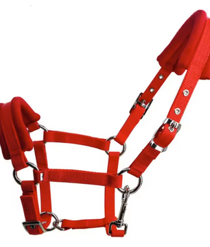 Verstelbaar Paardenhalster – Stevige Hoofdkraag voor Paarden