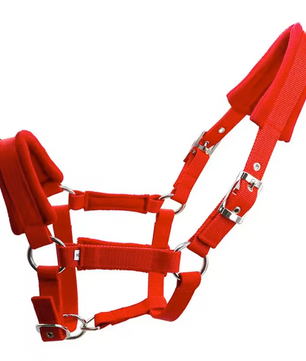 Verstelbaar Paardenhalster – Stevige Hoofdkraag voor Paarden