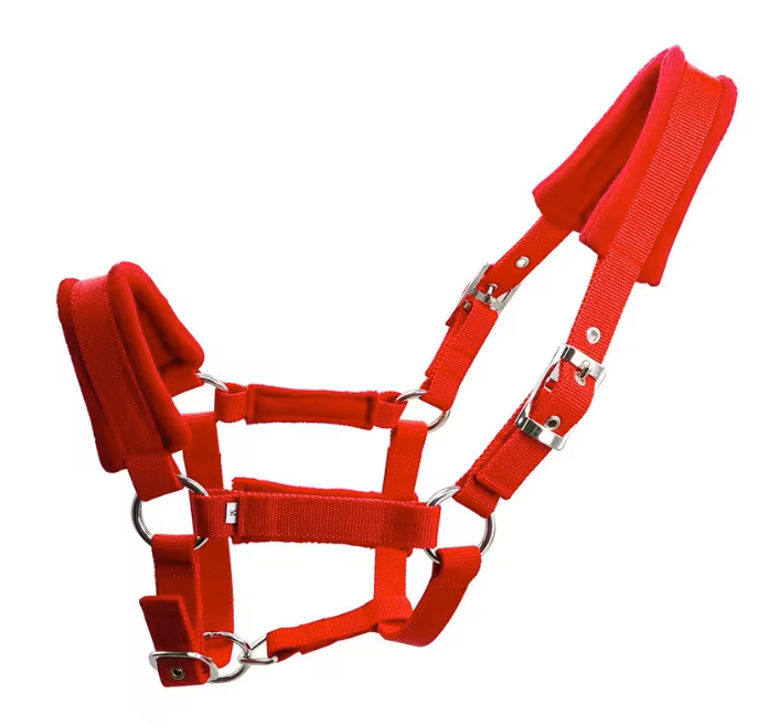 Verstelbaar Paardenhalster – Stevige Hoofdkraag voor Paarden