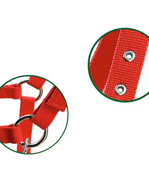 Verstelbaar Paardenhalster – Stevige Hoofdkraag voor Paarden