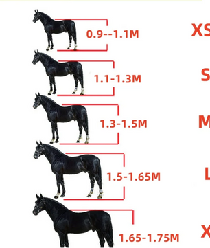 Verstelbaar Paardenhalster – Stevige Hoofdkraag voor Paarden