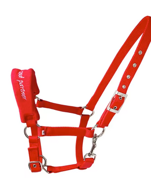 Verstelbaar Nylon Paardenhalster – Slijtvast Hoofdstel met Metalen Gespen