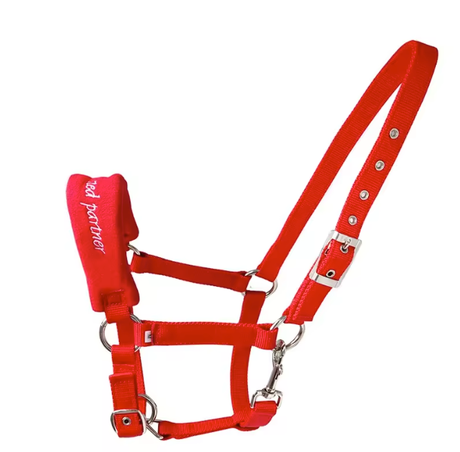 Verstelbaar Nylon Paardenhalster – Slijtvast Hoofdstel met Metalen Gespen