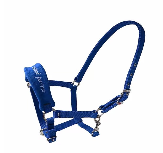 Verstelbaar Nylon Paardenhalster – Slijtvast Hoofdstel met Metalen Gespen