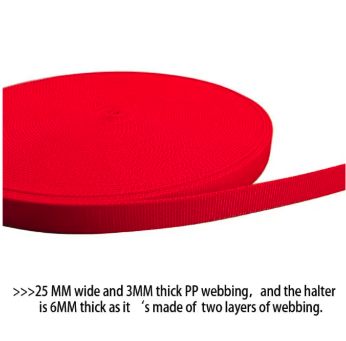 Verstelbaar Nylon Paardenhalster – Slijtvast Hoofdstel met Metalen Gespen