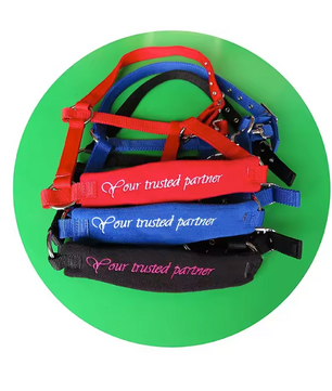 Verstelbaar Nylon Paardenhalster – Slijtvast Hoofdstel met Metalen Gespen