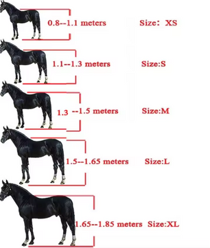 Verstelbaar Nylon Paardenhalster – Slijtvast Hoofdstel met Metalen Gespen