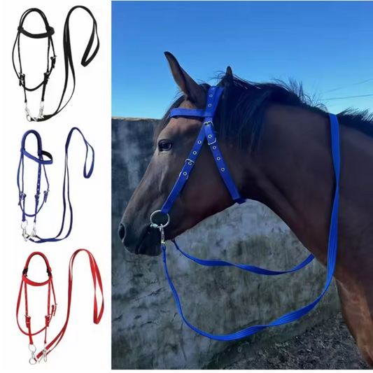 Verdikt Paardenhalster – Verstelbare Nylon Hoofdband voor Paarden