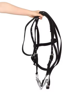 Verdikt Paardenhalster – Verstelbare Nylon Hoofdband voor Paarden