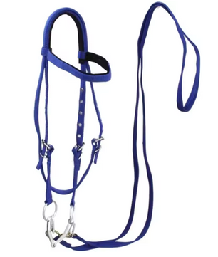 Verdikt Paardenhalster – Verstelbare Nylon Hoofdband voor Paarden