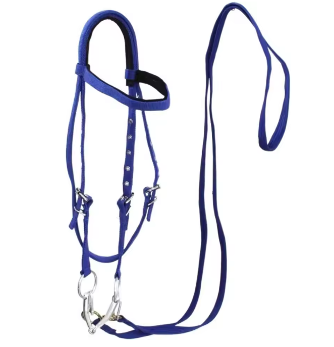 Verdikt Paardenhalster – Verstelbare Nylon Hoofdband voor Paarden