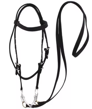 Verdikt Paardenhalster – Verstelbare Nylon Hoofdband voor Paarden