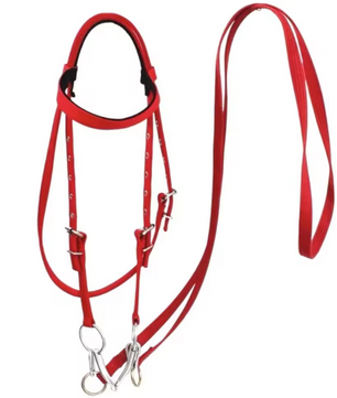 Verdikt Paardenhalster – Verstelbare Nylon Hoofdband voor Paarden