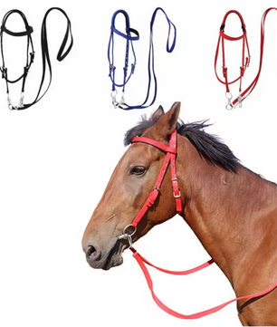 Verdikt Paardenhalster – Verstelbare Nylon Hoofdband voor Paarden