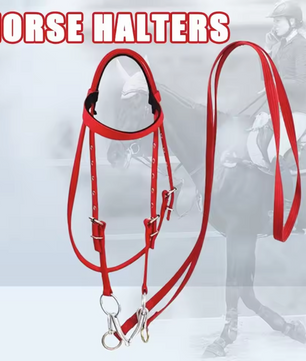 Verdikt Paardenhalster – Verstelbare Nylon Hoofdband voor Paarden