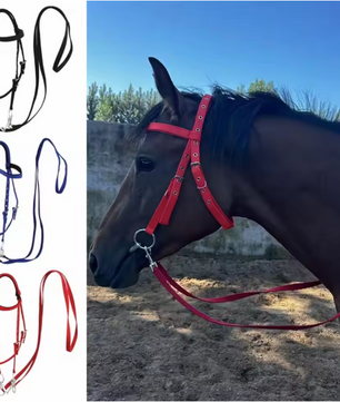 Verdikt Paardenhalster – Verstelbare Nylon Hoofdband voor Paarden