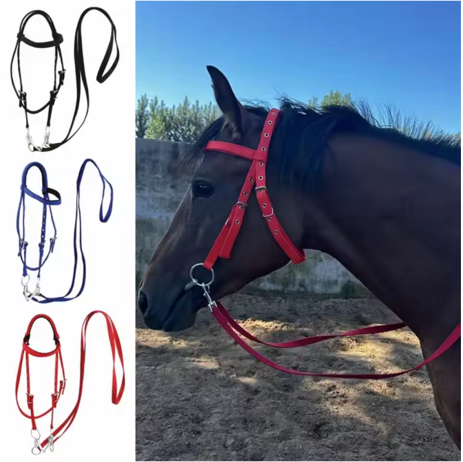 Verdikt Paardenhalster – Verstelbare Nylon Hoofdband voor Paarden