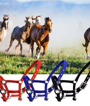 Gewatteerd Paardenhalster – Verstelbaar Pony Halster met Zachte Hoofdband