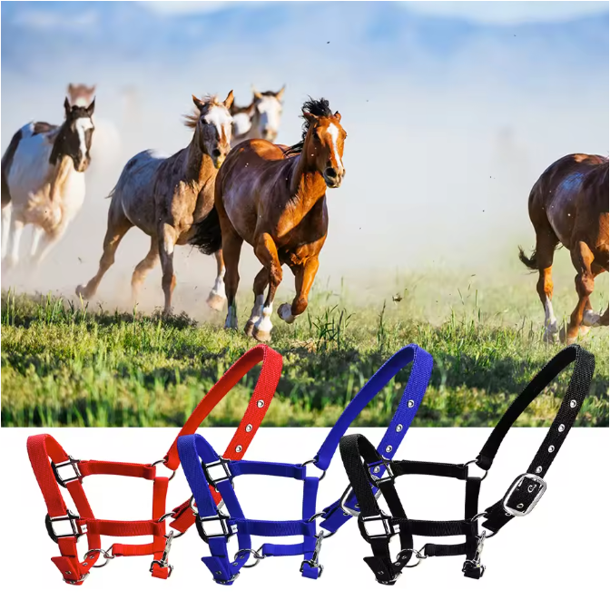 Gewatteerd Paardenhalster – Verstelbaar Pony Halster met Zachte Hoofdband