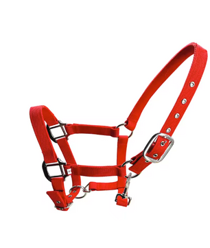 Gewatteerd Paardenhalster – Verstelbaar Pony Halster met Zachte Hoofdband