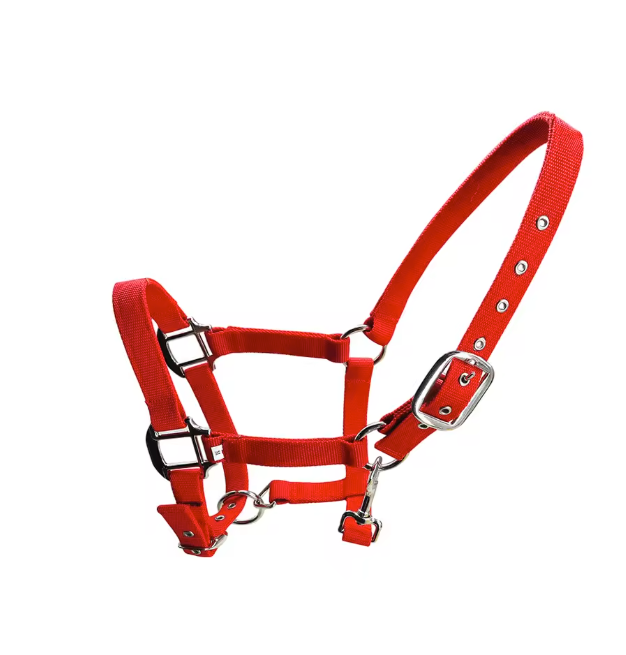 Gewatteerd Paardenhalster – Verstelbaar Pony Halster met Zachte Hoofdband