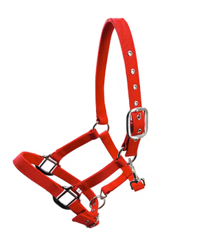 Gewatteerd Paardenhalster – Verstelbaar Pony Halster met Zachte Hoofdband