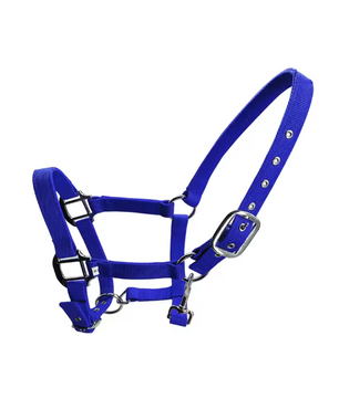 Gewatteerd Paardenhalster – Verstelbaar Pony Halster met Zachte Hoofdband