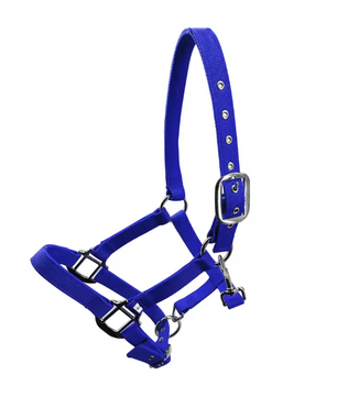 Gewatteerd Paardenhalster – Verstelbaar Pony Halster met Zachte Hoofdband