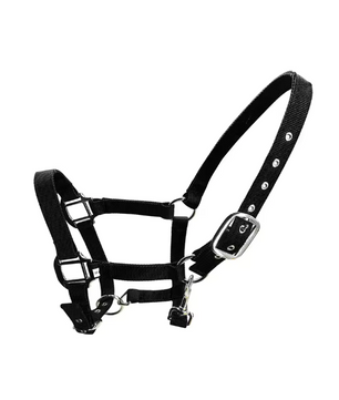 Gewatteerd Paardenhalster – Verstelbaar Pony Halster met Zachte Hoofdband