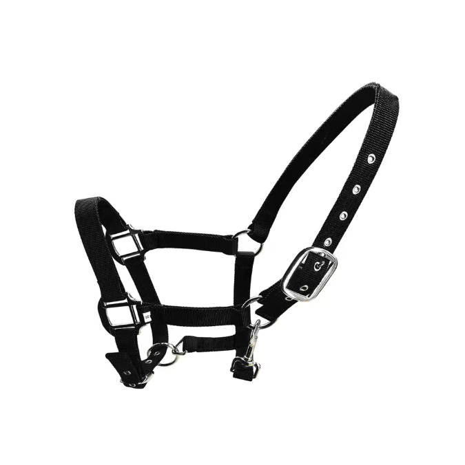 Gewatteerd Paardenhalster – Verstelbaar Pony Halster met Zachte Hoofdband