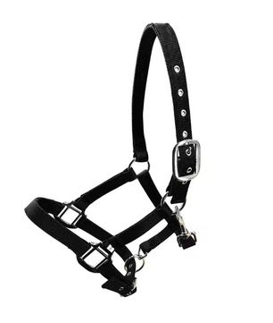 Gewatteerd Paardenhalster – Verstelbaar Pony Halster met Zachte Hoofdband