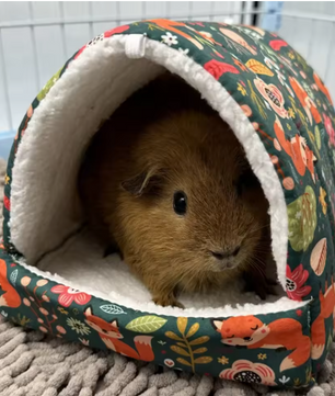Hangend Vogelbed Nest – Warm Huisje voor Papegaai, Hamster en Knaagdieren