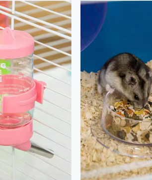 Hamsterkooi met Platforms, Tunnel en Oefenwiel – Complete Kooi voor Knaagdieren