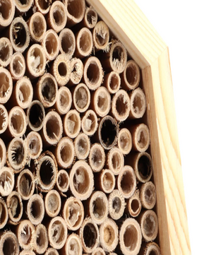 Houten Insectenhotel voor Tuin – Bijenhuis en Nestkast voor Nuttige Insecten