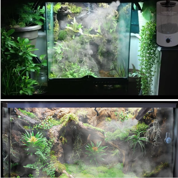 Terrarium Luchtbevochtiger 4L – Reptielen Fogger met Verlengslang