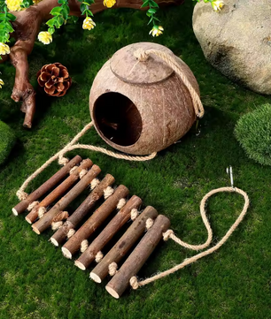 Reptielen Schuilgrot met Klimladder – Kokosnoot Terrarium Decor