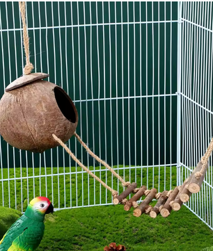 Reptielen Schuilgrot met Klimladder – Kokosnoot Terrarium Decor