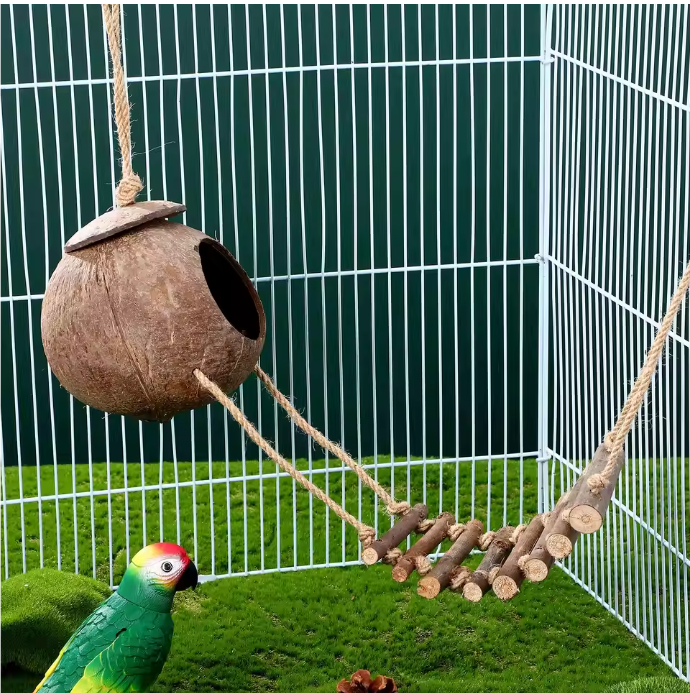 Reptielen Schuilgrot met Klimladder – Kokosnoot Terrarium Decor